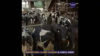 This robot vacuums up manure from barn floors in minutes