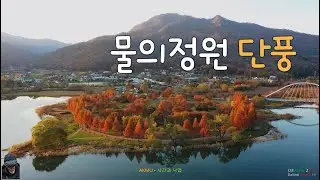 물의정원 가을