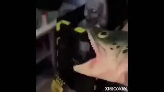 Annoying sound number'2