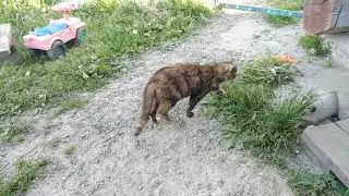 Отправить