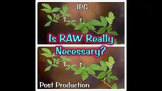 Is RAW Really Necessary?