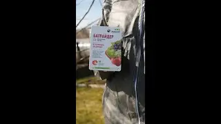 Спасаем сад от вредителей