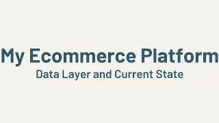 Custom Ecommerce Platform: Data Layer & Current State