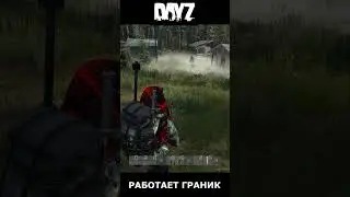 РАБОТАЕТ ГРАНИК  DayZ #shorts #dayz