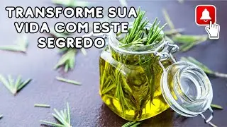 Revitalize Sua Saúde com o Óleo de Alecrim: 12 Razões Para Usá-lo Hoje