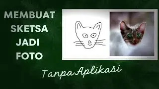 How to Turn a Sketch into an Image With AI | Scribble Diffusion
