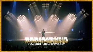 Rammstein - Rosenrot [Cut] (Live Audio Remastered - Berlin 2009)
