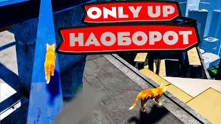 ОНЛИ АП НАОБОРОТ! СПУСТИТЬСЯ ВНИЗ ЗА КОШКУ! | Only Way is Down