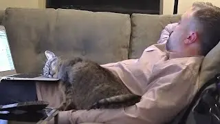 I Have a Best Friend Named Cat 😂 Cat and Human Moments