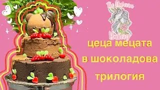 ЦЕЦА МЕЦАТА В ШОКОЛАДОВА ТРИЛОГИЯ | THE UNICORN BAKERY