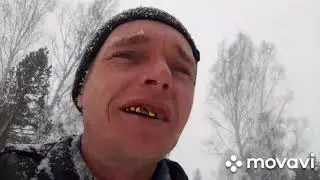 Берёзовый сок 2021 (бонус видео)