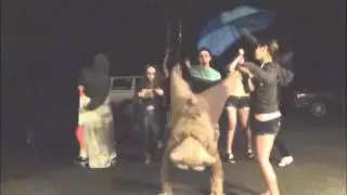 Ted Harlem Shake