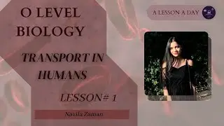 Transport in Humans | Lesson#1 | O level Biology | A lesson a day
