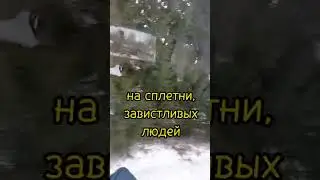 Истина жизни.Далеко улетела зима...Улетела из сердца вьюга.