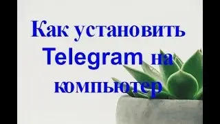 Как установить  Telegram на компьютер  Платинкоин