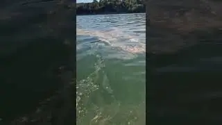 SOS. Озеро Абрау. Катастрофа?