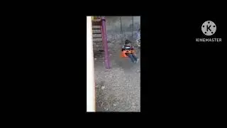 maşallah kuzularıma