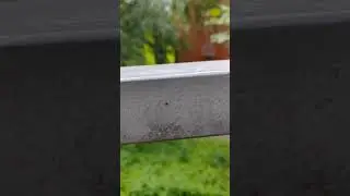 Что это КЛЕЩ???