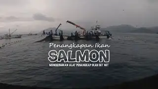 Luar biasa...!!, Penangkapan ikan Salmon menggunakan Set Net