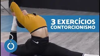 CONTORCIONISMO para INICIANTES ✨ 3 exercícios básicos