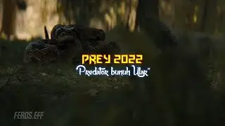 Predator bunuh Ular | Cuplikan Film PREY 2022 [Sub Indo]