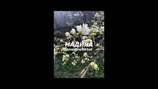 Мадина БОЛЬШОЙ ВЫПУСК