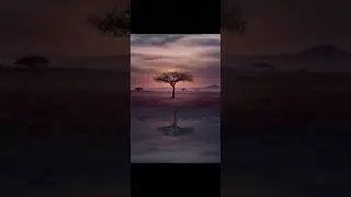 How to create reflection effect by layer editor using LightXPhotoEditor