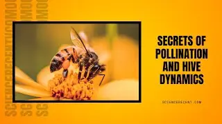 Secrets of Pollination and Hive Dynamics