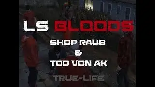Der Shop Raub und Bloods Killen AK ! True-life RP