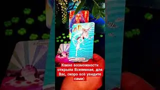 НОВЫЕ ВОЗМОЖНОСТИ! НОВЫЕ ГОРИЗОНТЫ 🍀🙏 #БОЖЕСТВЕННЫЙЭФИР #сЛИЛИТ #исцелениедуши #благо #картытаро