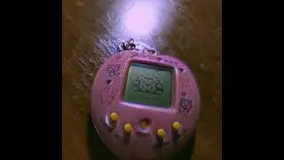Артем Смолин 1998 - Тамагоччи