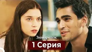 Зимородок 1 сезон 1 серия