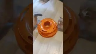 kitty games