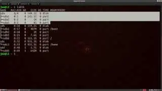 Linux Terminal: Formating a USB drive & 'burning' an iso image