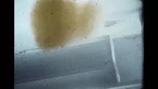 Pés (curta-metragem)