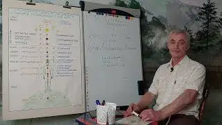 Выбор внимания