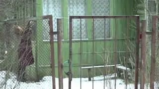 Гадалка серия Женщина в окне Актриса Елена Саар