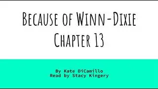 Because of Winn Dixie, Chapter 13