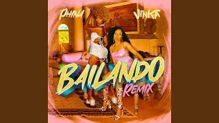 Bailando (Remix)