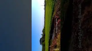 Agriculture and water