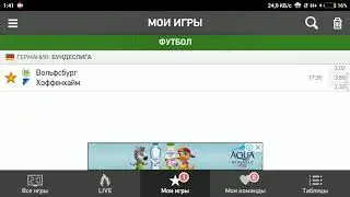 Вольфсбург - Хоффенхайм. Прогноз на матч.