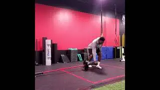 F.S Library - Landmine B stance bent over row - contralateral load