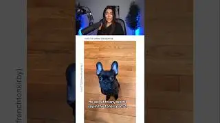 THIS PUPPY IS REALLY DUMB.. 😭