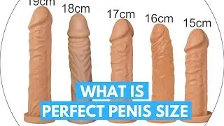 What is the Perfect Penis Size?