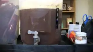 Thrift Shop Lager