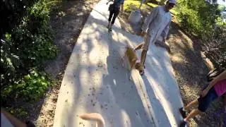 Cal Poly Pomona Spring Break Walk 2016 Revised