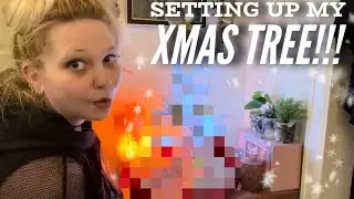 Vlog: Set up my CHRISTMAS TREE with me!