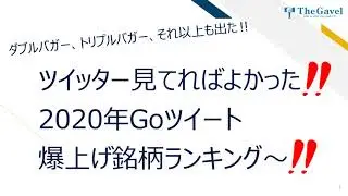 2020年ダブルバガー・トリプルバガー連発！(≧▽≦) 2021年絶対に見るべき情報はここにあります✨
