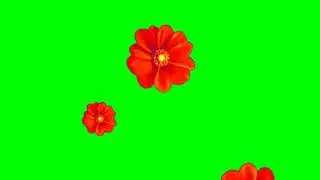 Flower falling motion green screen