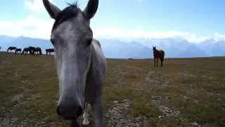 Архыз. Конный поход на озеро Медвежье с Дядя Гера. Arhiz. Horse ride to lake.